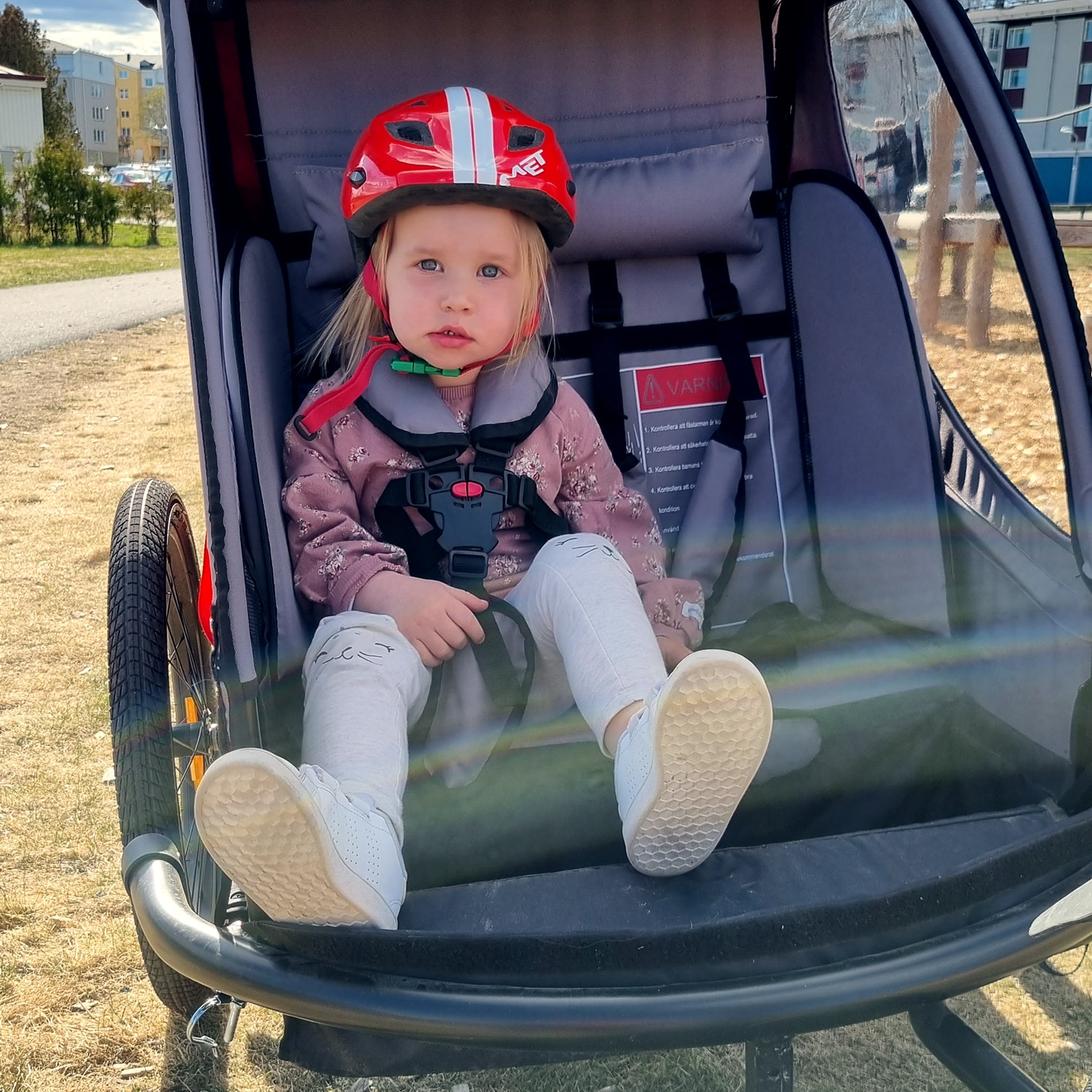 Sykkelvogn SunBee Supreme XL, med strollerkit