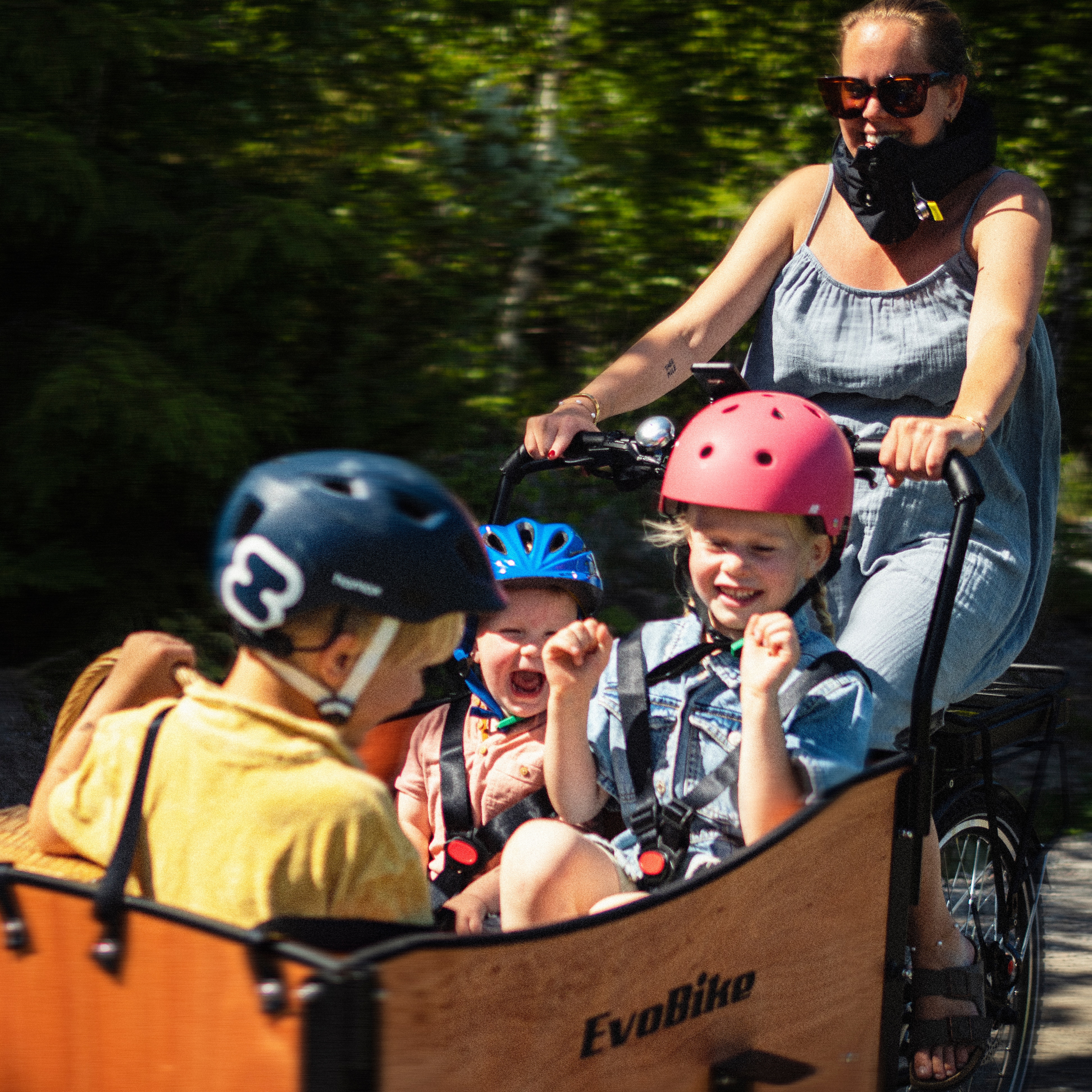 Lastesykkel EvoBike Cargo Classic